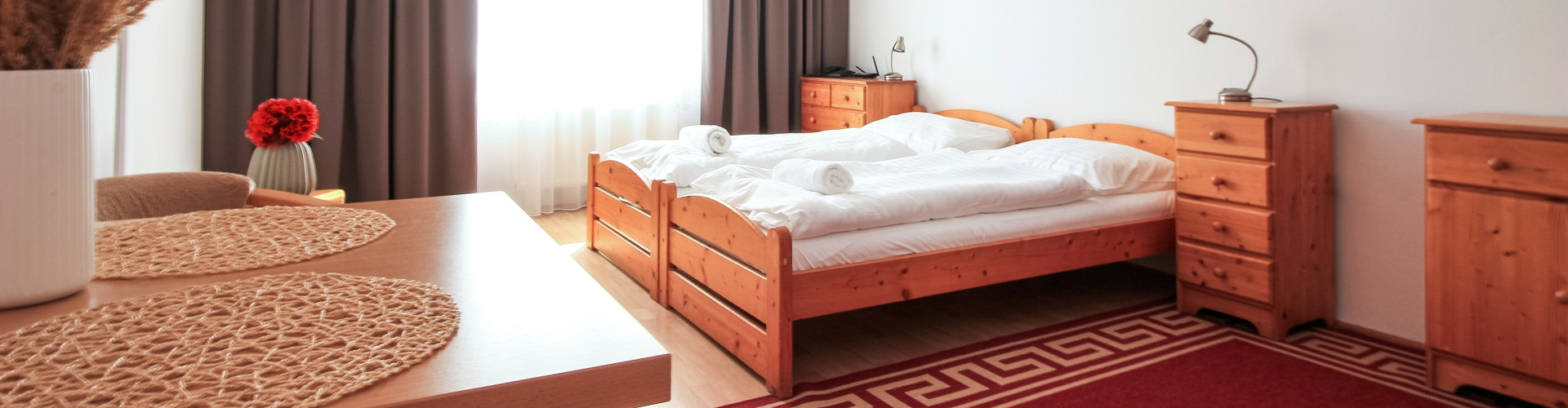 Accommodation at Hotel Palác Elektra